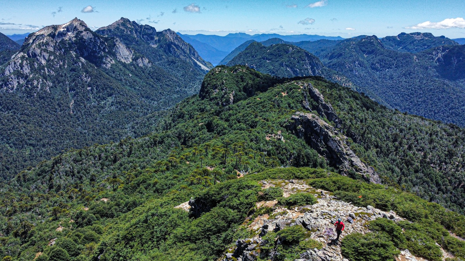 Cerro Las Mercedes