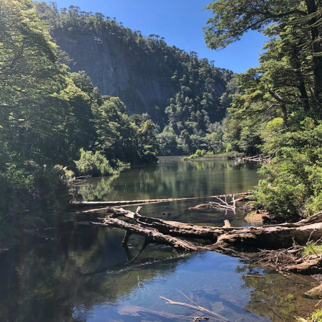 lago chico huerquehue