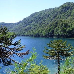 lago tinquilco huerquehue