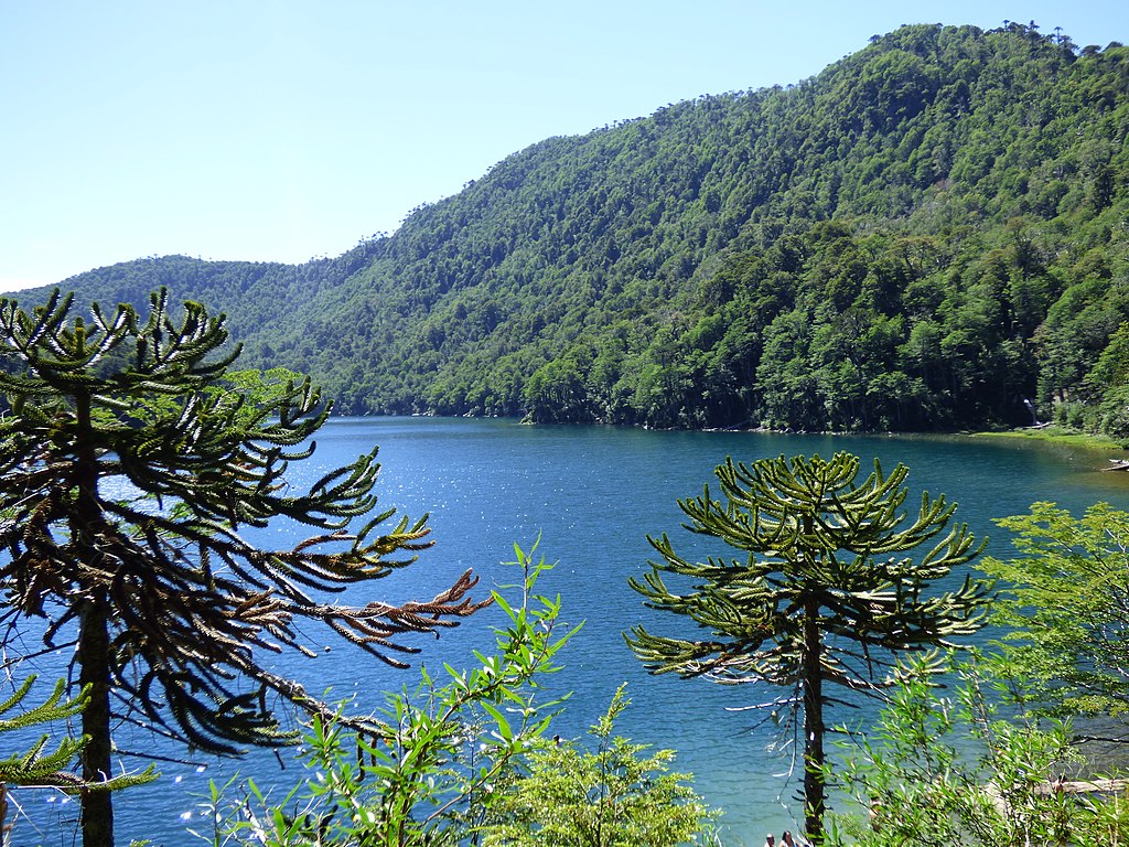 lago tinquilco huerquehue