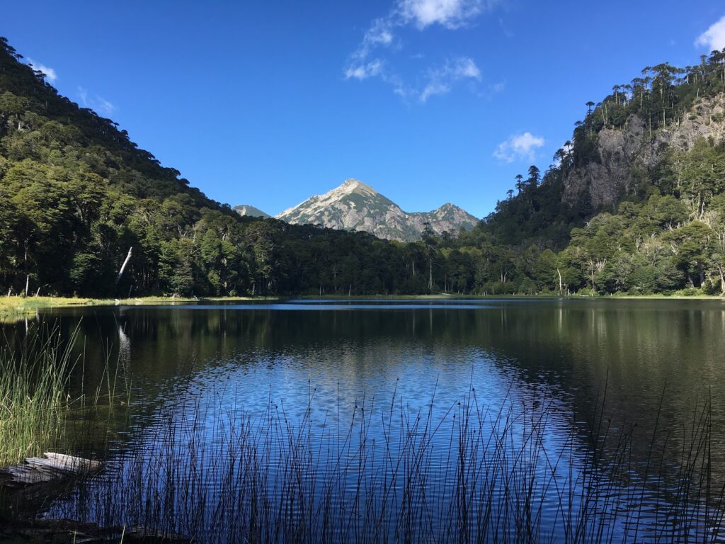 laguna pehuén huerquehue