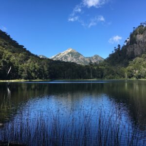 laguna pehuén huerquehue